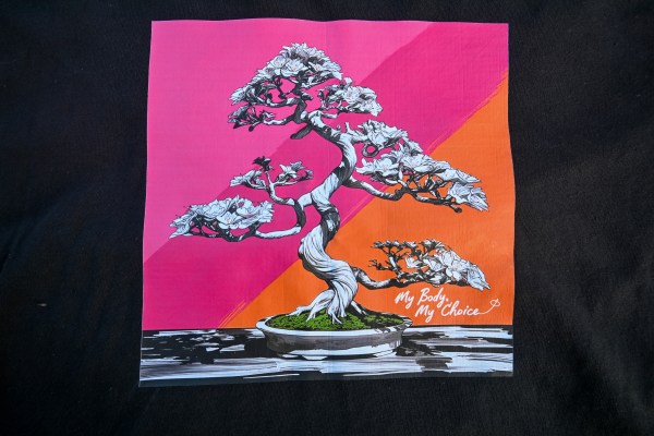 My Body My Choice - Crop Top Tee