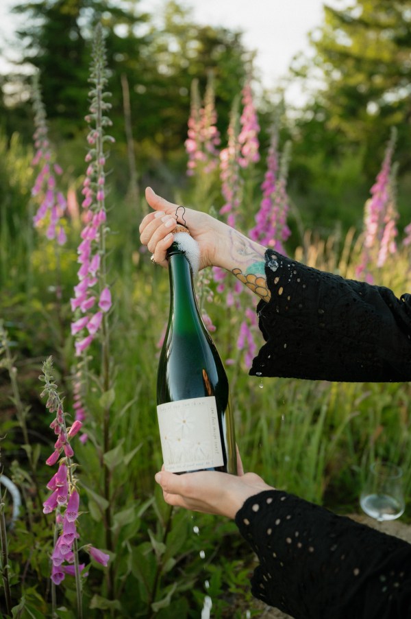 Blind Masters - Wine Tasting Class