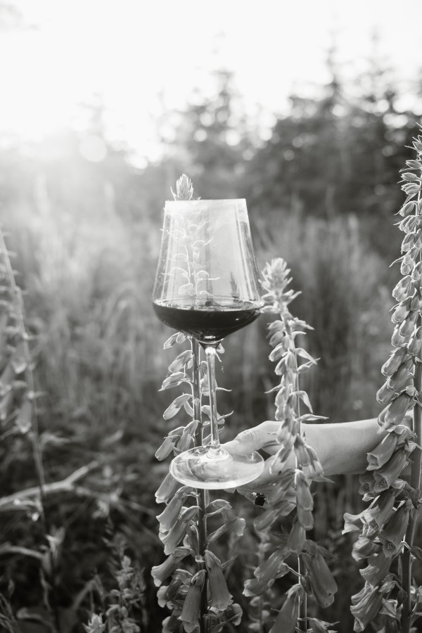 Blind Masters - Wine Tasting Class